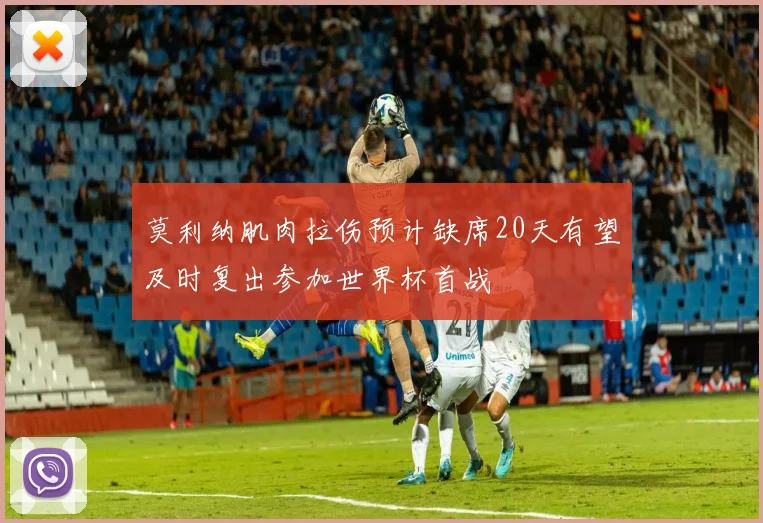 莫利纳肌肉拉伤预计缺席20天有望及时复出参加世界杯首战